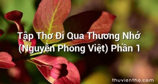 Tập Thơ Đi Qua Thương Nhớ (Nguyễn Phong Việt) Phần 1