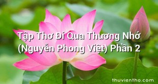 Tập Thơ Đi Qua Thương Nhớ (Nguyễn Phong Việt) Phần 2