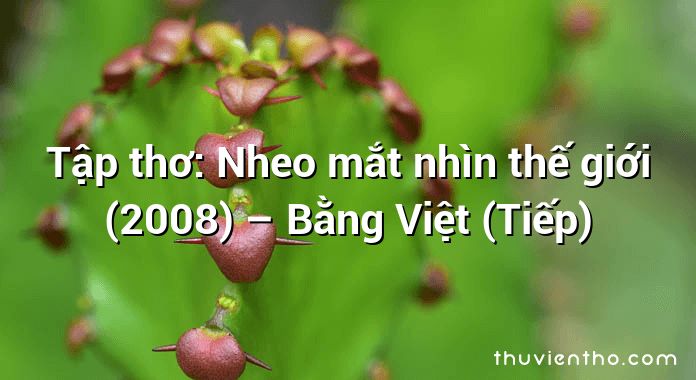 Tập thơ: Nheo mắt nhìn thế giới (2008) – Bằng Việt (Tiếp)