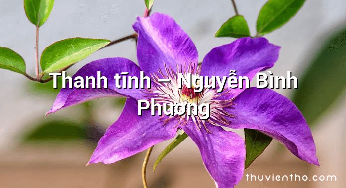 Thanh tĩnh  –  Nguyễn Bình Phương
