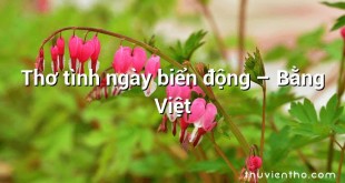 Thơ tình ngày biển động  –  Bằng Việt