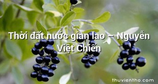 Thời đất nước gian lao  –  Nguyễn Việt Chiến