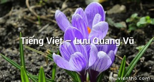Tiếng Việt  –  Lưu Quang Vũ