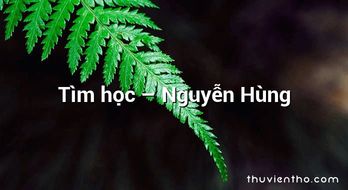 Tìm học – Nguyễn Hùng