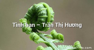 Tình bạn – Trần Thị Hương