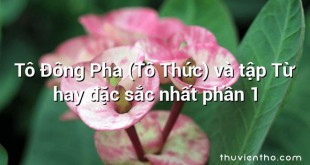 Tô Đông Pha (Tô Thức) và tập Từ hay đặc sắc nhất phần 1