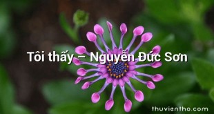 Tôi thấy  –  Nguyễn Đức Sơn