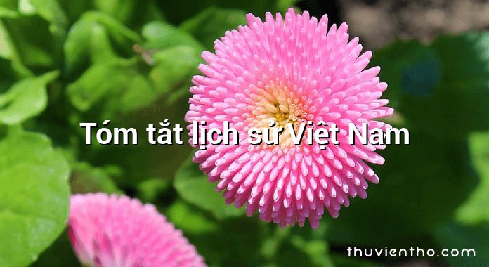 Tóm tắt lịch sử Việt Nam