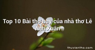 Top 10 Bài thơ hay của nhà thơ Lê Anh Xuân