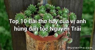Top 10 Bài thơ hay của vị anh hùng dân tộc Nguyễn Trãi