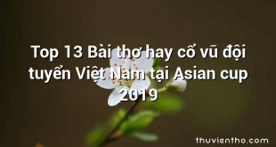 Top 13 Bài thơ hay cổ vũ đội tuyển Việt Nam tại Asian cup 2019