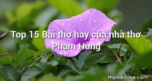 Top 15 Bài thơ hay của nhà thơ Phạm Hùng