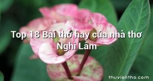 Top 18 Bài thơ hay của nhà thơ Nghi Lâm