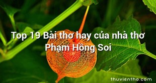 Top 19 Bài thơ hay của nhà thơ Phạm Hồng Soi
