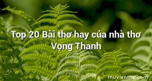 Top 20 Bài thơ hay của nhà thơ Vọng Thanh