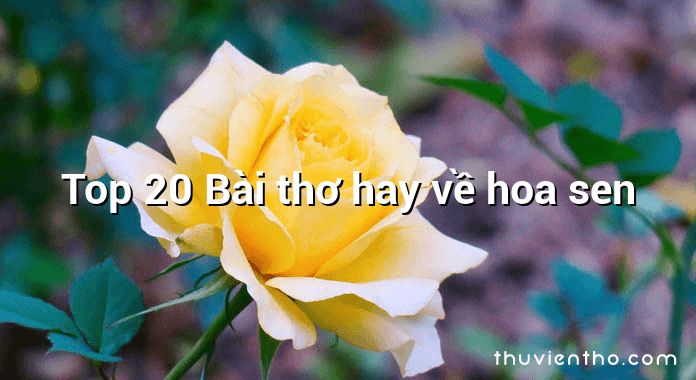 Top 20 Bài thơ hay về hoa sen