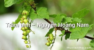Trâm anh  –  Nguyễn Hoàng Nam