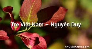 Tre Việt Nam – Nguyễn Duy