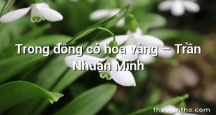 Trong đồng cỏ hoa vàng  –  Trần Nhuận Minh