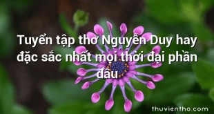 Tuyển tập thơ Nguyễn Duy hay đặc sắc nhất mọi thời đại phần đầu