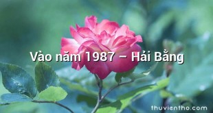 Vào năm 1987  –  Hải Bằng
