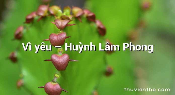 Vì yêu – Huỳnh Lâm Phong
