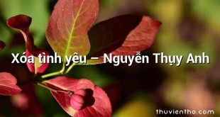 Xóa tình yêu  –  Nguyễn Thụy Anh
