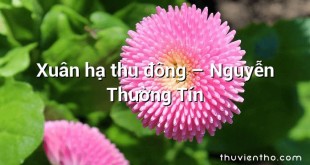 Xuân hạ thu đông – Nguyễn Thường Tín