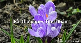 Bài thơ đầu – Tín Thuận