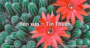 Bến xưa – Tín Thuận