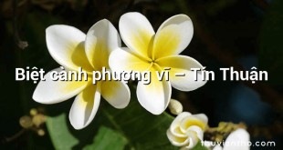Biệt cành phượng vĩ – Tín Thuận