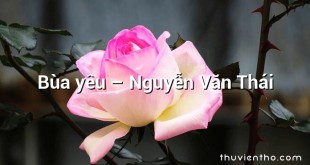 Bùa yêu – Nguyễn Văn Thái