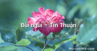 Bùi ngùi – Tín Thuận