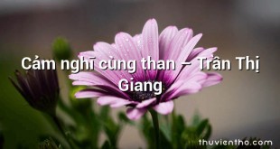 Cảm nghĩ cùng than – Trần Thị Giang