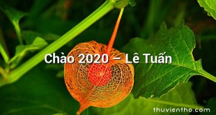 Chào 2020 – Lê Tuấn