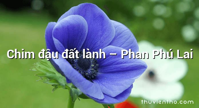 Chim đậu đất lành – Phan Phú Lai
