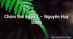 Chùm thơ ngắn 1 – Nguyễn Huy Dung