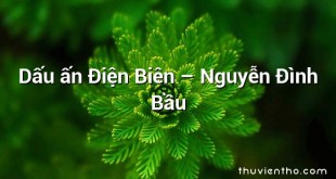 Dấu ấn Điện Biên – Nguyễn Đình Bầu