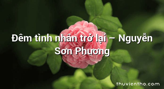 Đêm tình nhân trở lại – Nguyễn Sơn Phương