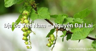 Địa ốc Việt Nam – Nguyễn Đại Lai