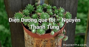 Điện Dương quê tôi – Nguyễn Thanh Tùng
