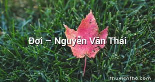 Đợi – Nguyễn Văn Thái