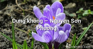 Dưng không – Nguyễn Sơn Phương