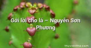 Gởi lời cho lá – Nguyễn Sơn Phương