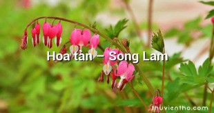 Hoa tàn – Song Lam
