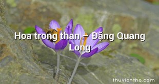 Hoa trong than – Đặng Quang Long