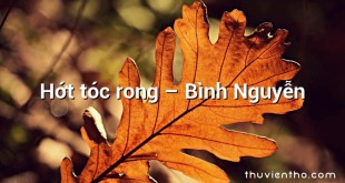 Hớt tóc rong – Bình Nguyễn