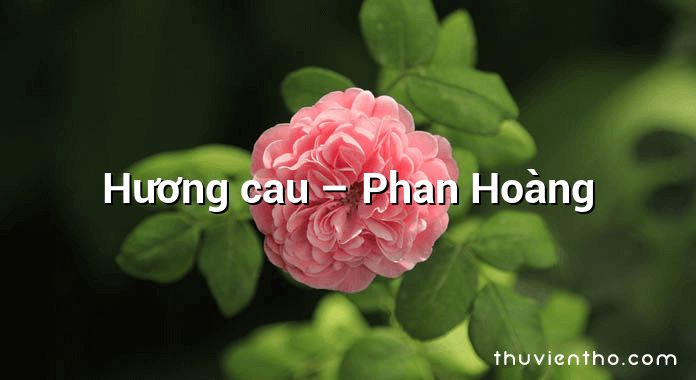 Hương cau – Phan Hoàng