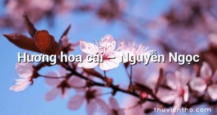 Hương hoa cải – Nguyễn Ngọc