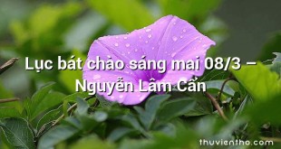 Lục bát chào sáng mai 08/3 – Nguyễn Lâm Cẩn